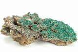 Sparkling Dioptase Crystals on Gemmy Dolomite - N'tola Mine #209706-1